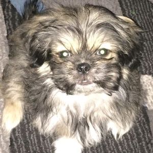 Meet your Posher, Bilye